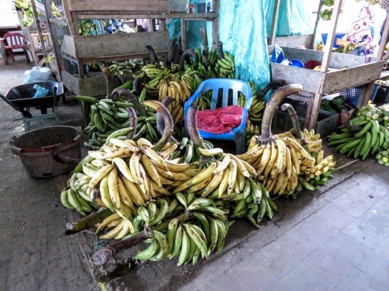 Plantains are one of the main staples found in the markets in Leticia.