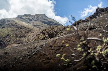 A rugged landscape in Tenerife.