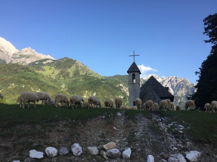 Theth's main Catholic church, surrounded by grazing sheep.