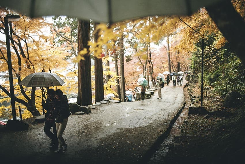 Happy in love under umbrellas and Japanese maple trees on this dreary Wednesday afternoon walking on slick pavement along a bubbling river. Central Japan has a quiet, peaceful beauty that drips from the trees and sinks into your skin in Central Japan.