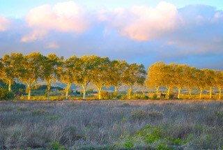 Languedoc, one of France's most beautiful provinces.