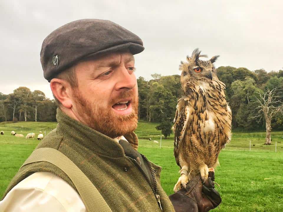 Jason Deasy of Apex Falconry with a hunting owl at Westport House.