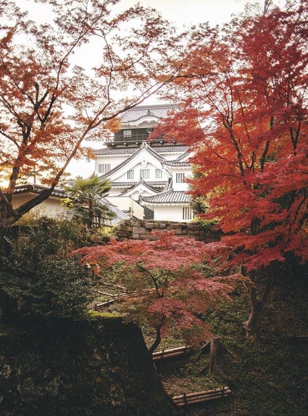 Okazaki Castle in central Japan’s Aichi Prefecture.