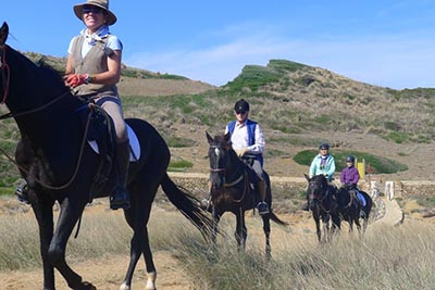 horses along the trail 1