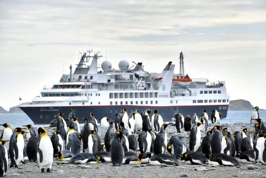 King penguins and the Explorer in Antarctica. Tab Hauser photos.