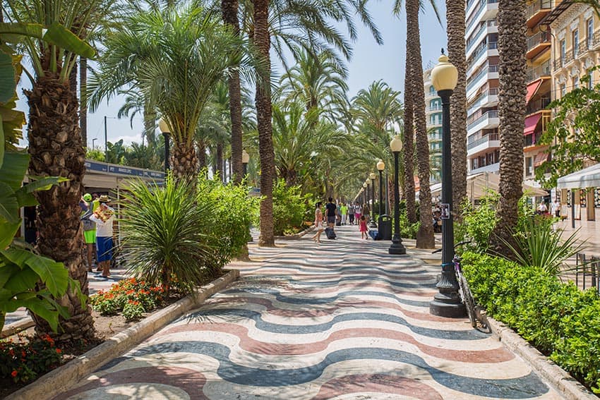 The picturesque esplanade along Alicante's harbour is great for an afternoon walk.