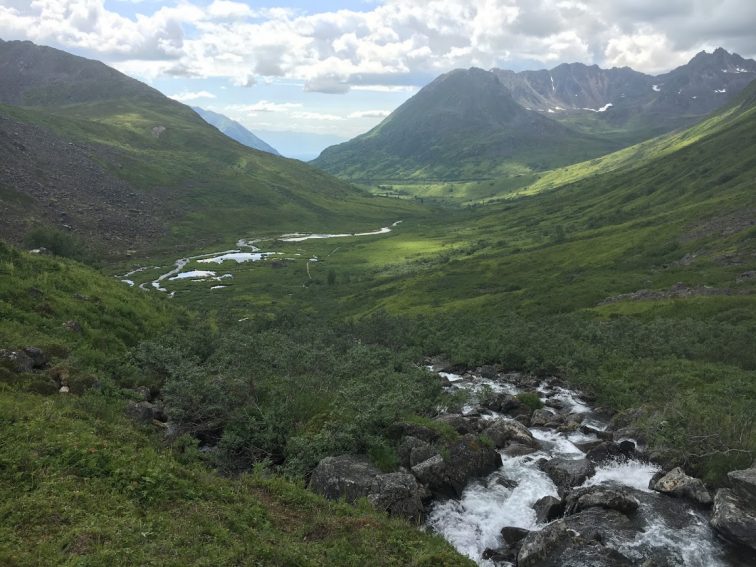 A view of Reed Lakes Trail in Hatcher Pass, one of many hiking trails accessible near Palmer