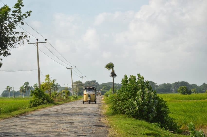 We drove past paddyfields, and endless barren lands in Jaffna. Tuk-tuks (trishaws) are a popular mode of transport in the island.