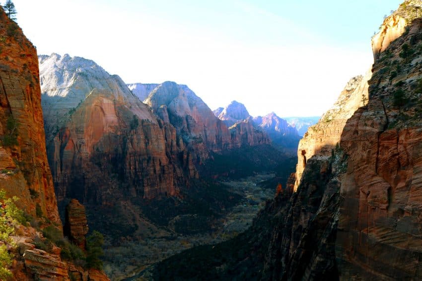 Views of Zion National Park from Angel’s Landing. Laura Ferguson photos.