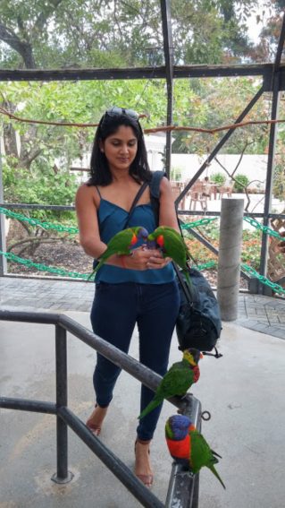 Interacting in the Lorikeet habitat at Butterfly World in Coconut Creek, Florida | GoNOMAD Travel