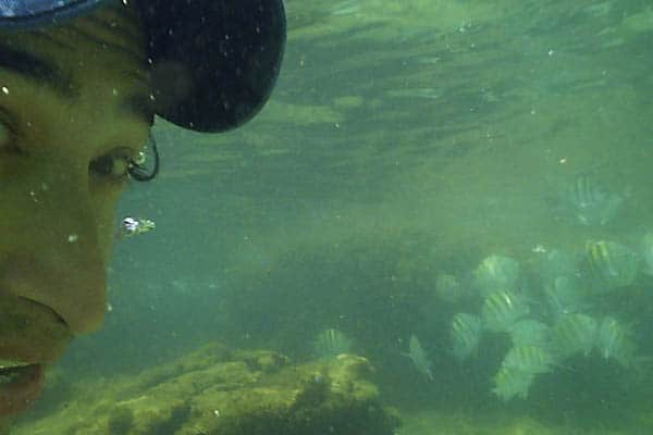 Swimming underwater in Azedinha beach, Buzios. If you visit Azeda and Azedinha, don't forget to take your snorkel with you! Different types of fish can be easily seen very near the seashore.