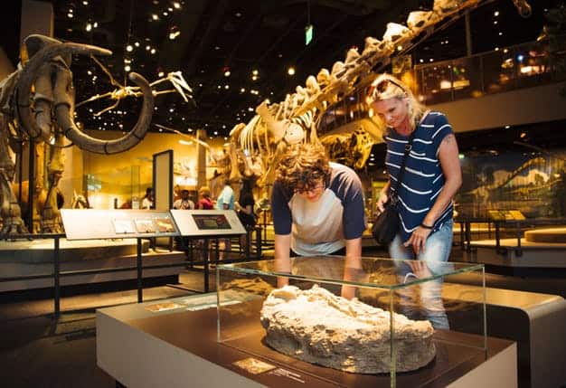 Visitors examining fossilized remains in the Ultimate Dinosaurs exhibition. Photos from Perot Museum website.