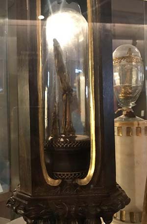 A few of Galileo's fingers in a glass case on display.