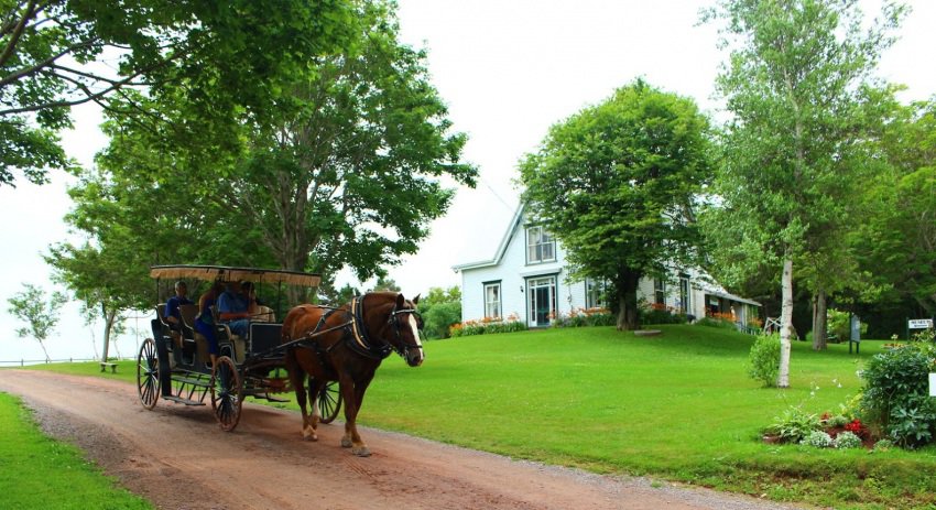 Carriage rides are popular at Anne of Green Gables Museum in Kensington.  