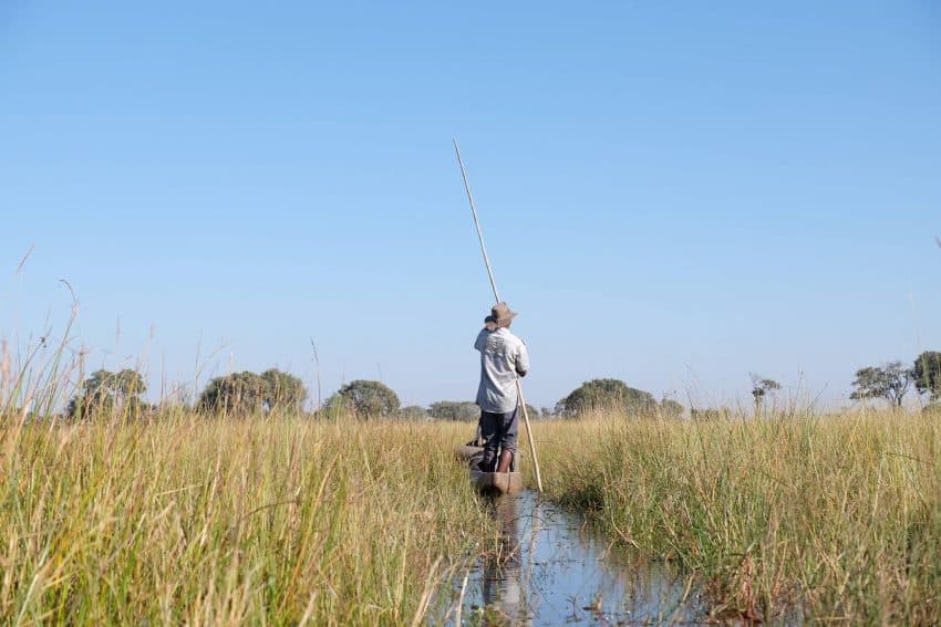 Paddling through the Okavango Delta in Botswana. Becky Evens photos.
