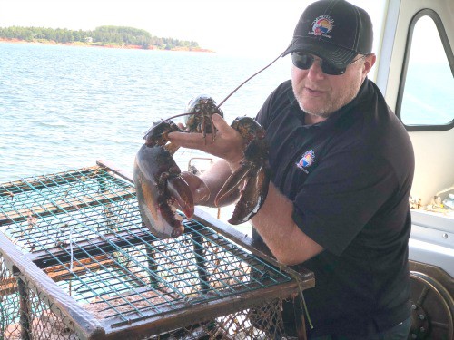 Capt Mark Jenkins, owner of Top Notch Lobster Tours and a lobster and tuna fisherman himself, shows off an especially large lobster that's over 30 years old in Charlottetown Harbor.