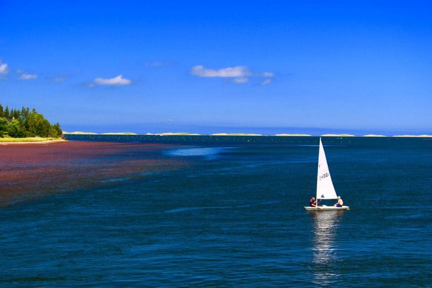 Prince Edward Island sailing, photo by Rachael McGrath