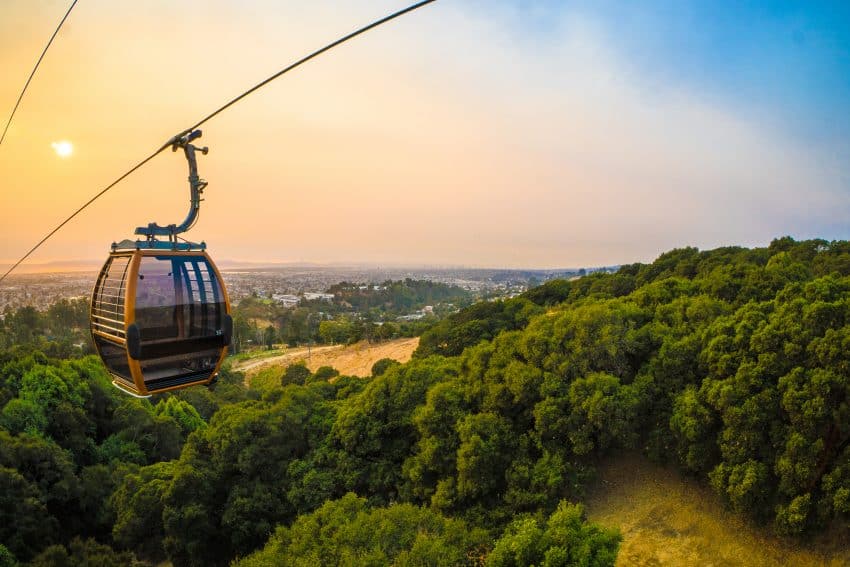 A gondola provides the best views of the wildlife below at the Oakland Zoo. 