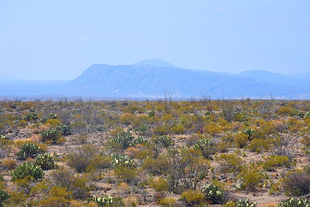 The Blue Mountains in the distance at Big Bend National Park, in Texas.