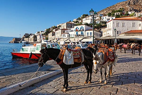 Goods are moved around by donkey on Hydra's waterfront.