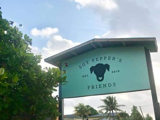 Sgt. Pepper's Friends, an animal rescue in Aruba
