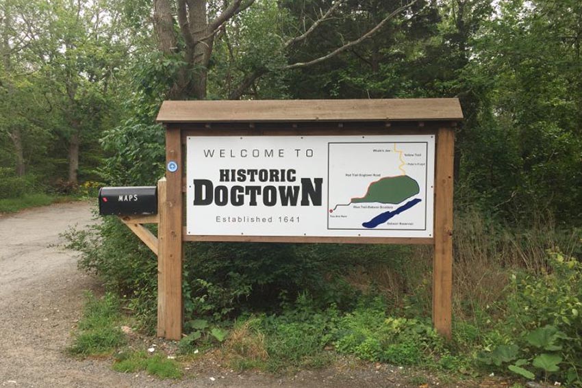 dogtown sign