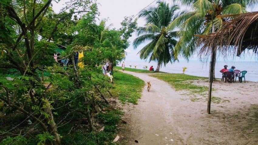 A quiet path along the coast in the Garifuna Town section of Livingston, Guatemala, where locals relax away from the frenzy of the parade route.