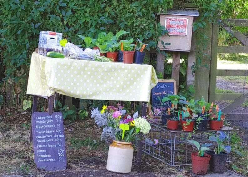 Farm stand with honor box.