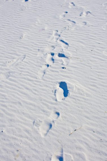 footprints in the sand Navarre Beach