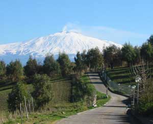 The road to Le Querce di Cota - photos by Carolyn Bonello