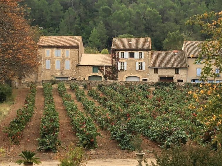 The chateau's terrace overlooks its vineyards and some of the village. vacation rentals in France.