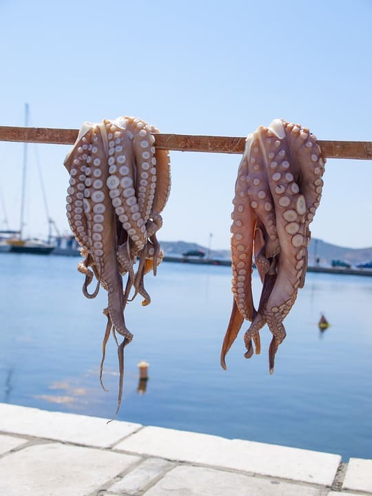 Octopus from the Mediterranean Sea in Naxos, Greece.