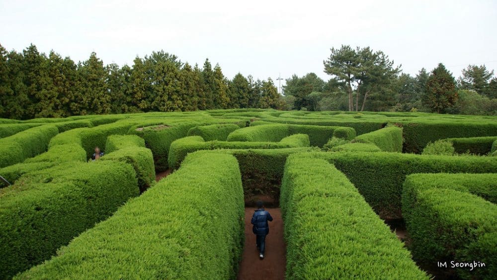 Get lost in a maze that is shaped like Jeju Island! 