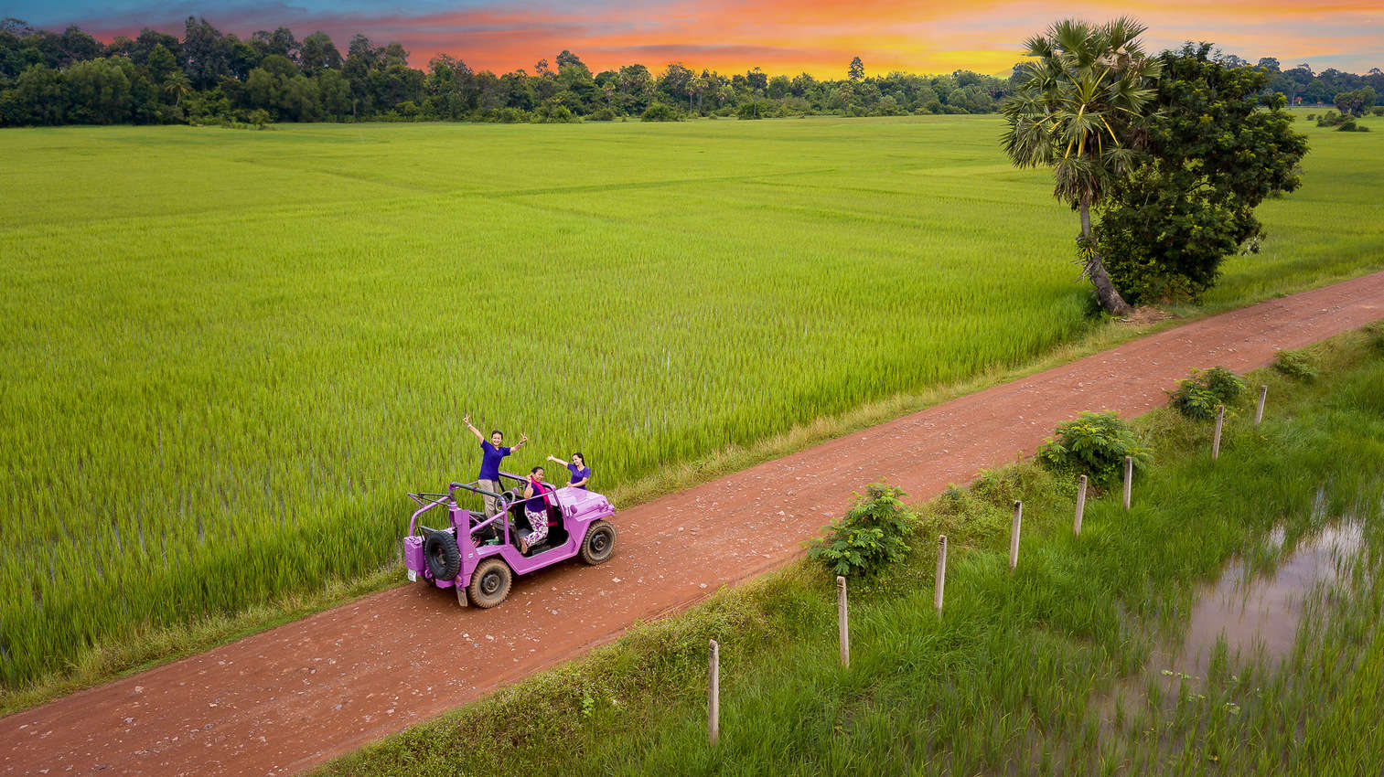 Lavender Jeep