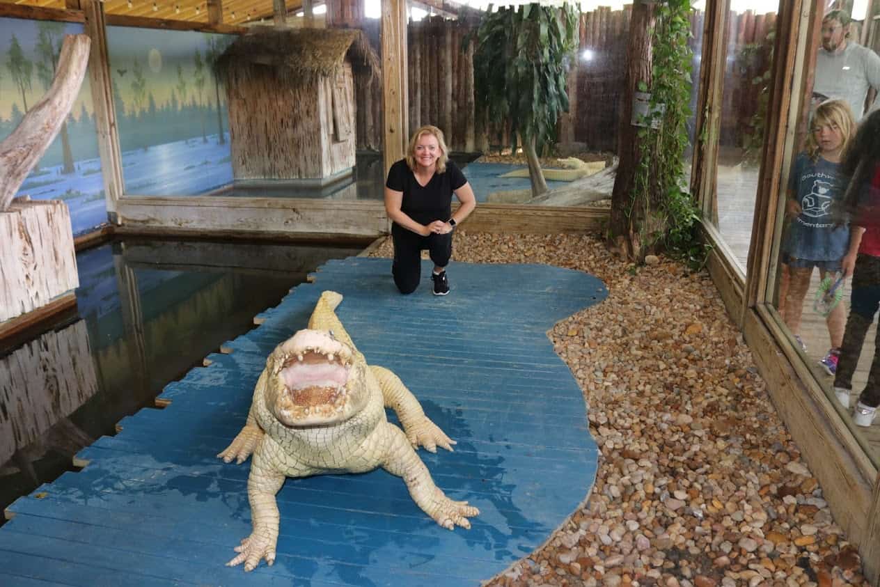 KissimmeeGatorlandAlbinoGator