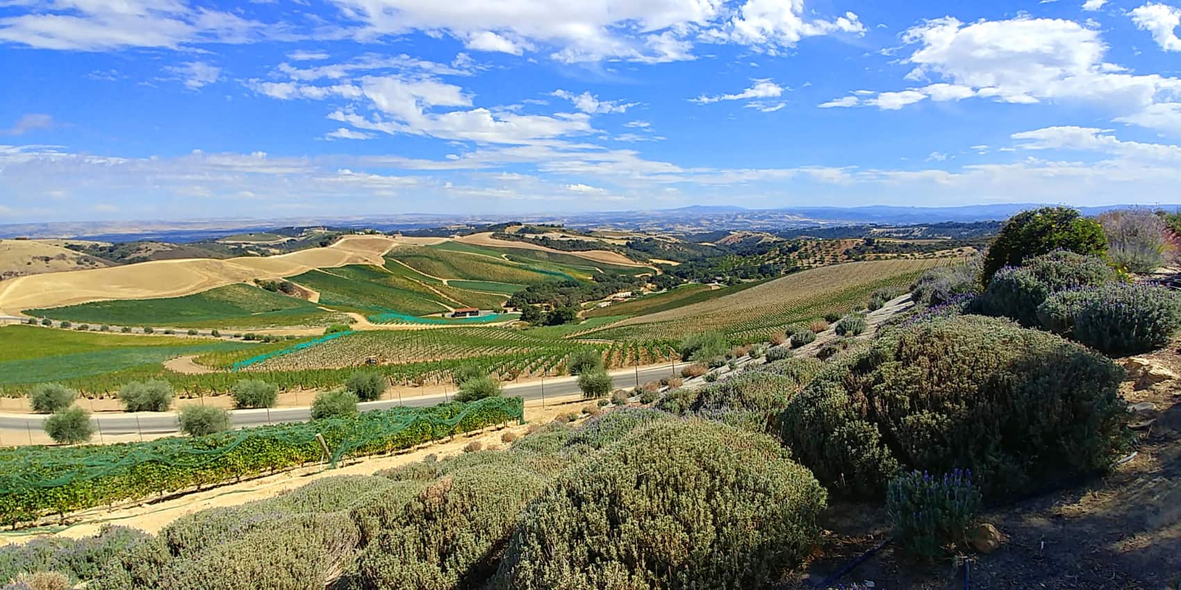 Grapes to spirits at Paso Robles distilleries in CA. Photos - Mary Charlebois