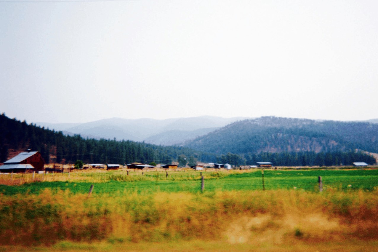 Farmland by a campsite in Montana, traveling without a camera Jared Shein photo