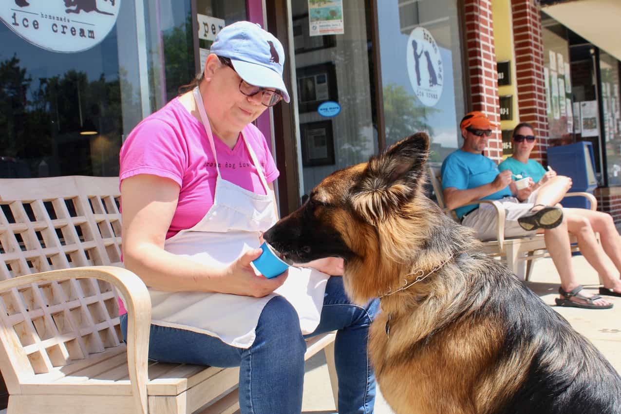 The author's dog being fed Brown Dog Ice Cream. Delmarva Peninsula