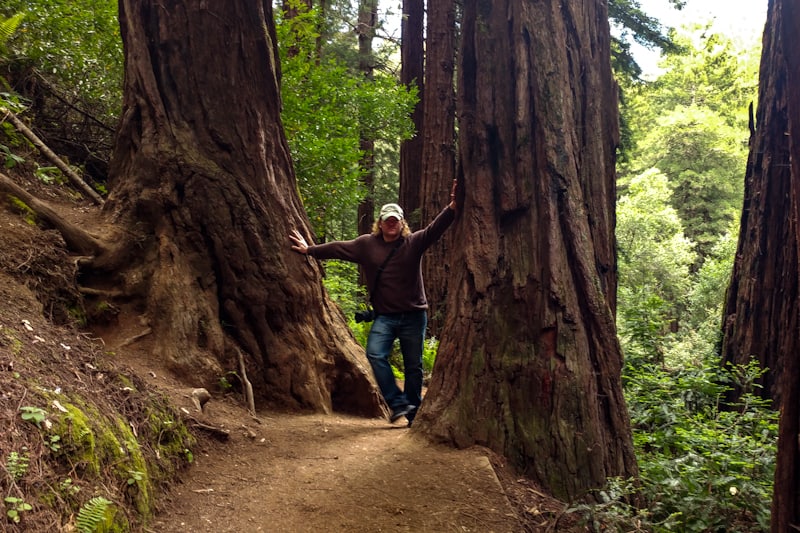 No need for a road trip to see those California Redwoods. Oakland offers its own nearby trails.