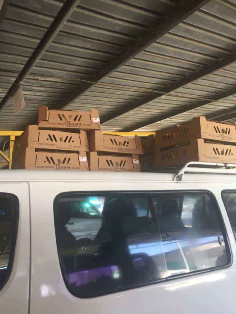 A box of chicks atop a van 