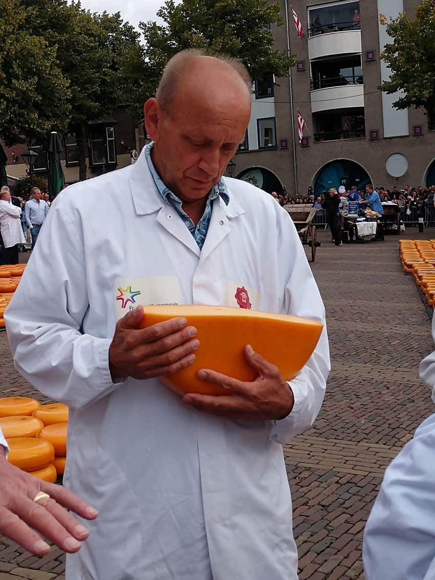 A tester examines the cheese at the Alkmaar cheese market.