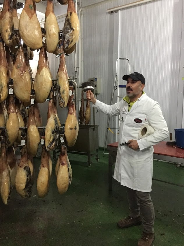 A warehouse was full of tasty Iberico hams in Extremadura, Spain.
