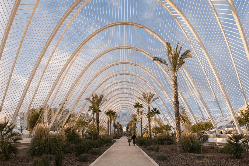 The gardens of L'Umbracle
