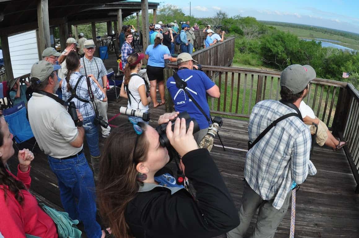 Bird lovers gather on the boardwalk for one of the popular hawk watches at Hazel Bazemore County Park, one of many places to birdwatch around Corpus Christi.
