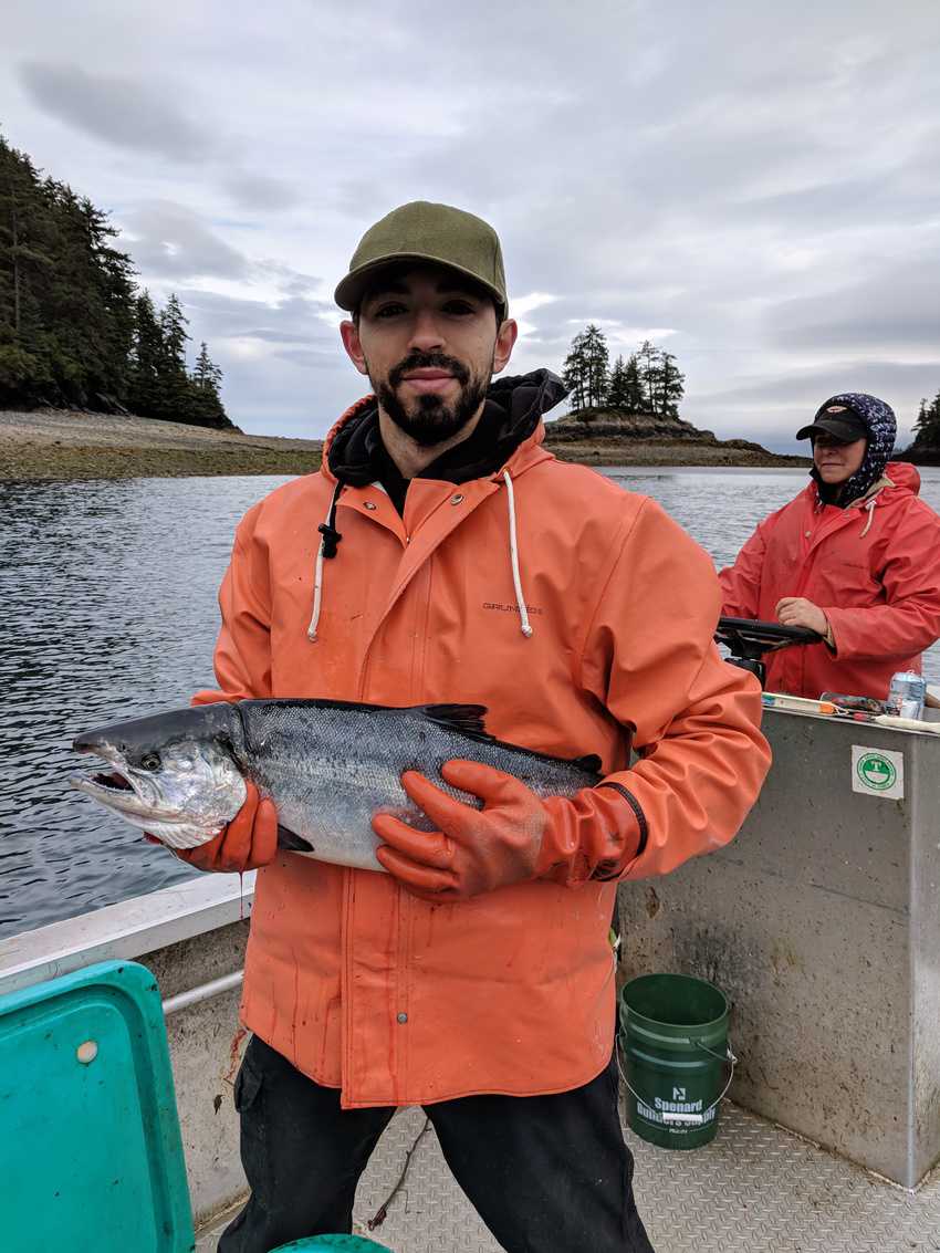Temporary worker with a silver salmon Between Beaches