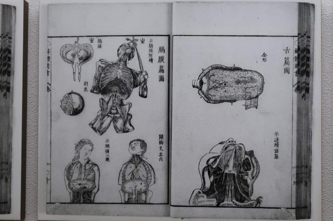 Kaitaishinsho, published in 1774 as Japan's first book on anatomy, was copied from a Dutch book and illustrated by a Kakunodate samurai named Odano Naotake