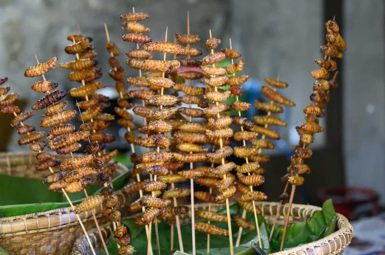 Roasted and crunchy Silkworm larvae are one of the many local delicacies for purchase at the Hornbill Festival.
