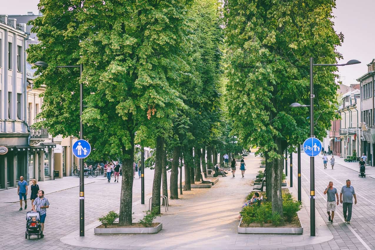 Tree-lined Laisvės Avenue the main street in Kaunas Lithuania. Photo: A. Aleksandravicius
