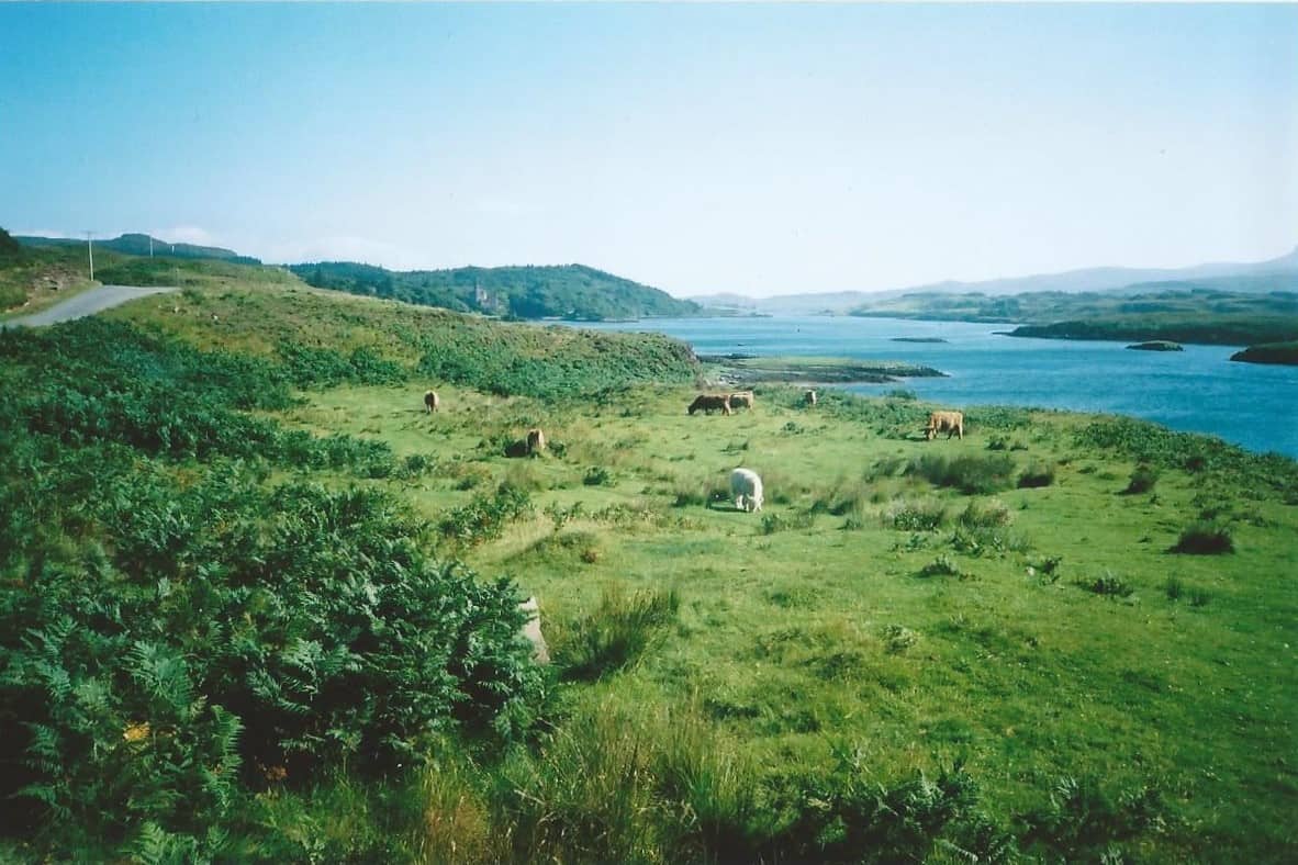 Skye Landscape