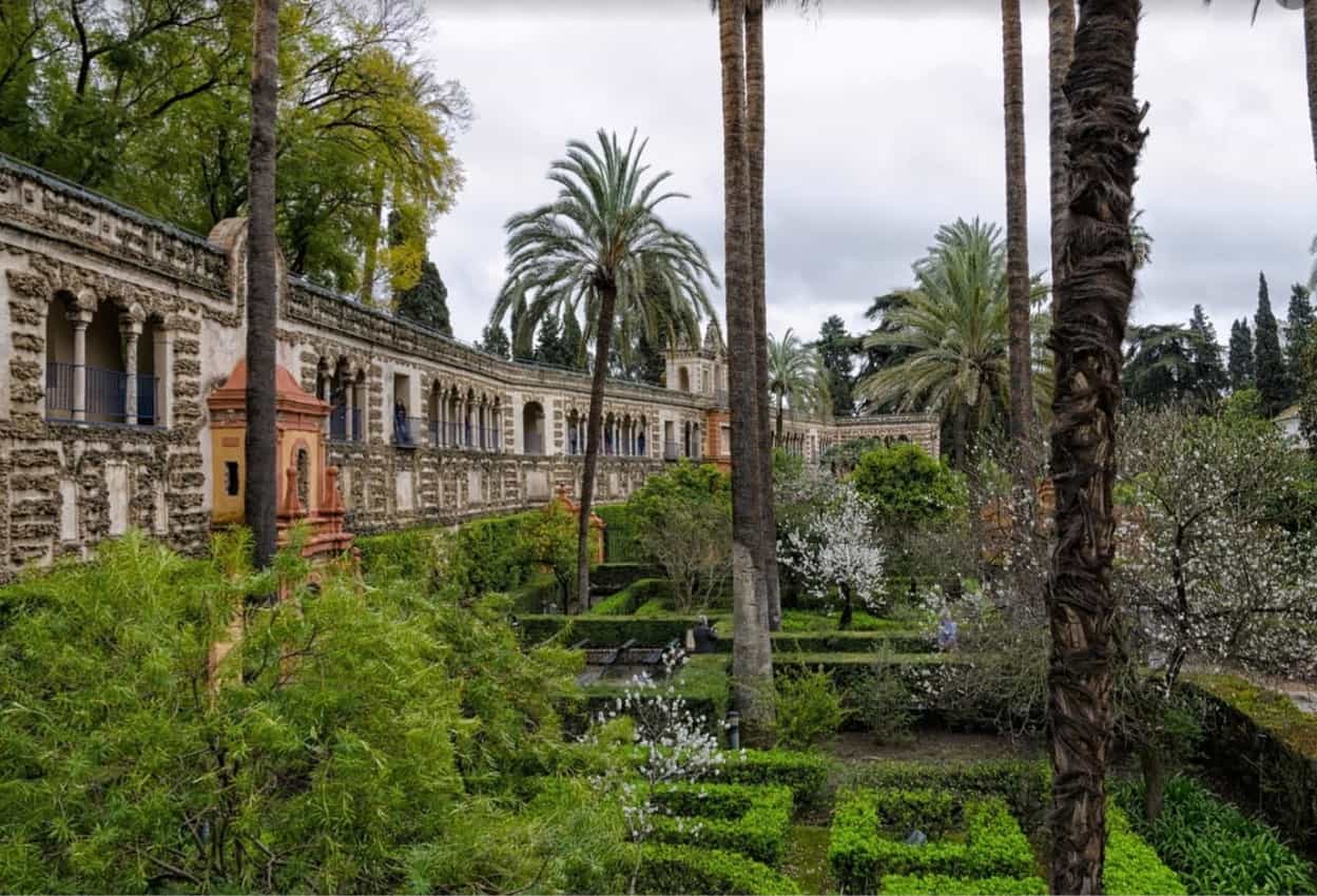 The lush greenery of the Real Alcázar gardens in Sevilla, Spain.
